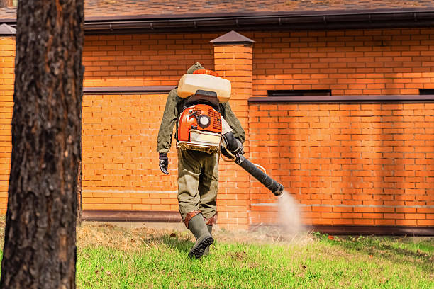 Bed Bug Clearance Verification and Documentation in Gosport